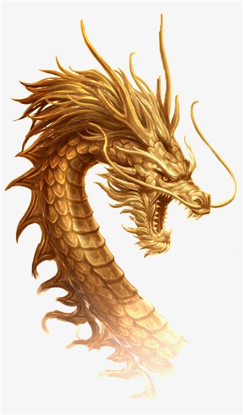 Golden Dragon Transparent Illustration - Chinese Dragon PNG Image | Transparent PNG Free ...