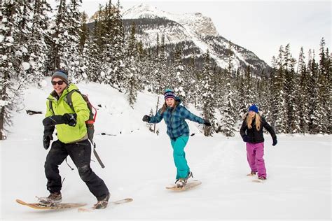 Banff National Park Snowshoe Tour 2024