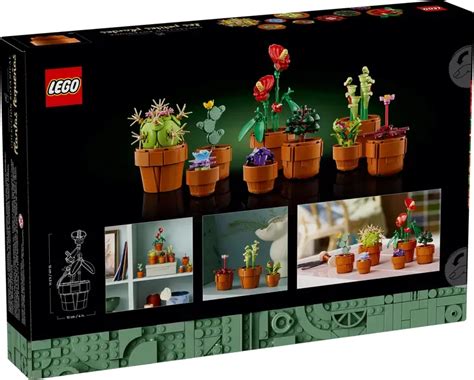 LEGO Icons 10329 Botanical Collection Tiny Plants_officially Revealed - Brick Ranker