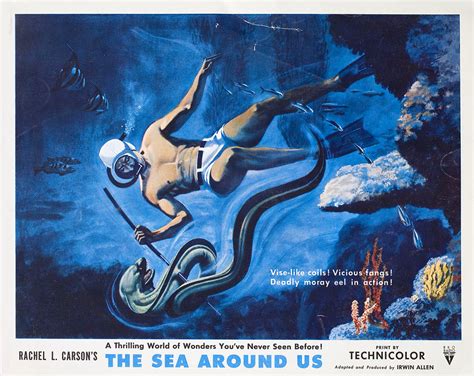 The Sea Around Us 1953 U.S. Scene Card - Posteritati Movie Poster Gallery