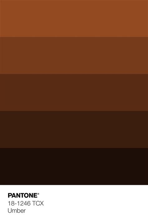 PANTONE 18-1246 TCX Umber Color Shades | Brown color shades, Fall color ...