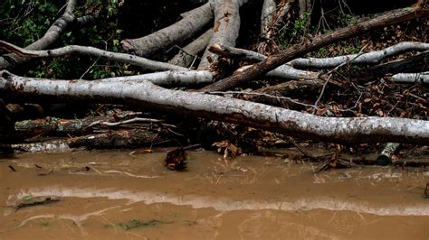 Flash flooding in Tennessee caused by heavy rain