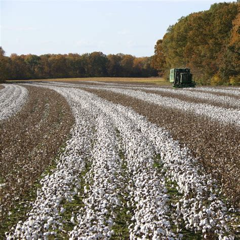 Crop Production Systems | Agriculture and Natural Resources