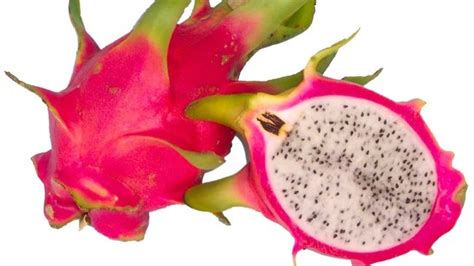 Pitaya: The New Exotic Fruit with Extreme Health Benefits | Solluna by ...