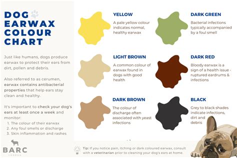 Dog Earwax Colour Chart & Care Guide | Barc London