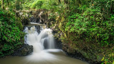 Tawau Hills Park | Sabah, Malaysia | Attractions - Lonely Planet