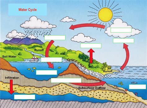 Water Cycle Diagram | Quizlet