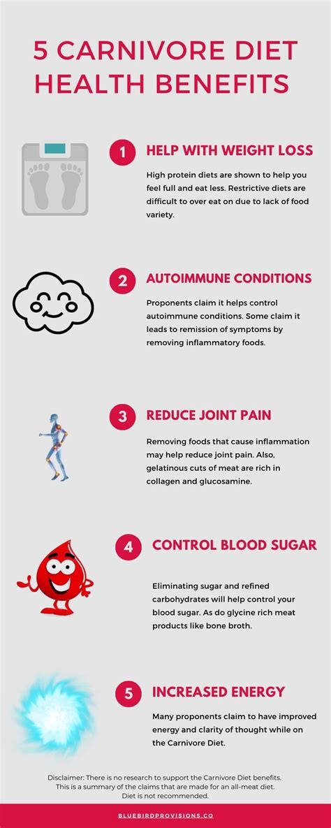 Carnivore Diet Pros and Cons: Is it Really a Safe Option for Weight Lo