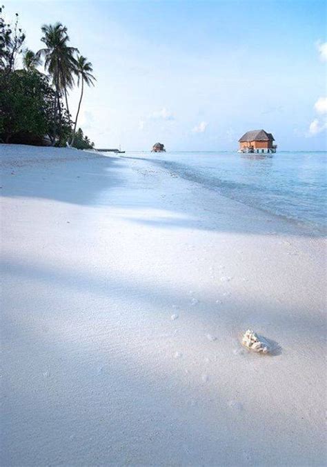 White white sand. Maldives | Vacation spots, Places to go, Beautiful ...