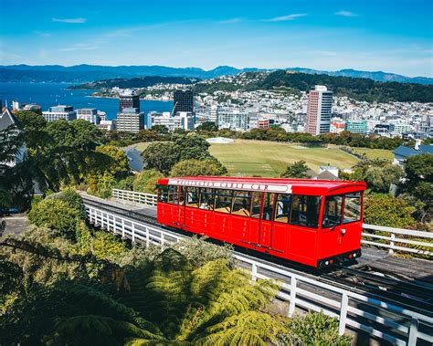 THE 15 BEST Things to Do in Wellington (2024) - Must-See Attractions