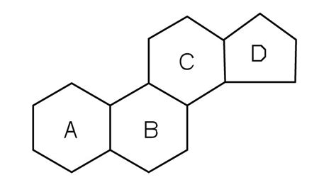 17.4 Steroids | The Basics of General, Organic, and Biological Chemistry