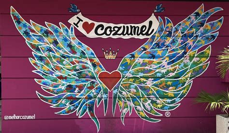 Eco-Friendly Guide to Cozumel: Best Hotels, Tours and Vegan Restaurants ...