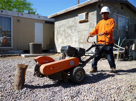 Stump Grinding & Tree Stump Removal « Affordable Tree Service, Las Vegas, NV