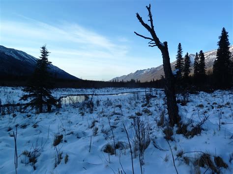 Reflection Shots of Winter Landscape, Eagle River, Alaska – Strucknwords