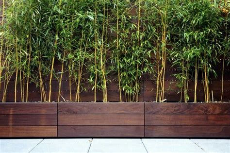 Bamboo privacy screen | Montessori Playground | Pinterest