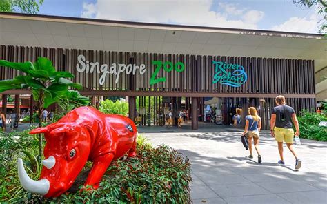 Singapore Zoo Guide - Attractions, Things to Do, Tickets, Timings