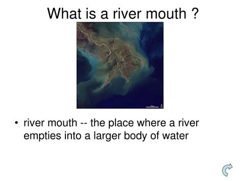 PPT - Landforms.... What are they. PowerPoint Presentation, free download - ID:315222