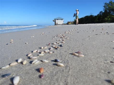 Pictures of Little Gasparilla Island, Florida | Blog The Beach