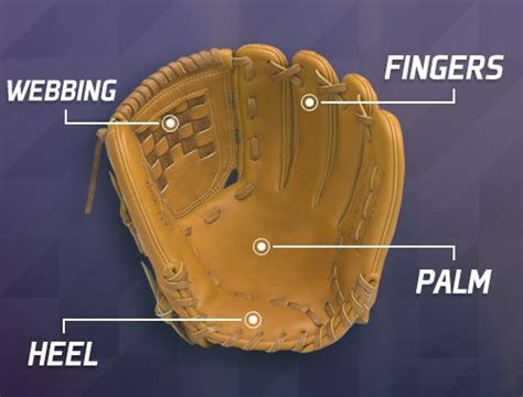 What Size Baseball Glove For A 4 Year Old - Images Gloves and ...