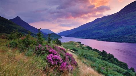 Scottish Highland Landscape