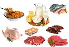 Nutrición: Alimentos de origen animal