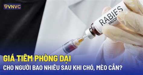 Giá tiêm phòng dại cho người bao nhiêu tiền sau khi chó, mèo cắn?