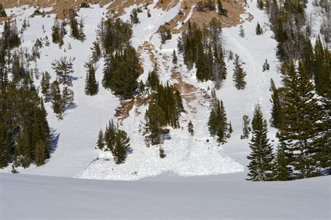 Wet slab avalanche | Gallatin National Forest Avalanche Center