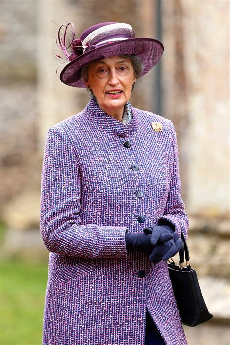 Lady Susan Hussey is ‘back in royal fold’ as she represents Princess Anne at an event | Tatler