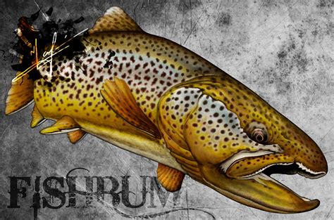 Brown Trout mixed media #browntrout #trout #flyfishing #fishing #art #fishbum #drawing # ...