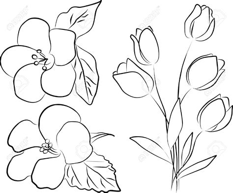 Flower Bouquets Drawing at GetDrawings | Free download