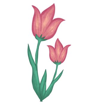 Pink 3d Vector, 3d Pink Tulip, Tulip, 3d, 3d Flower PNG Image For Free Download