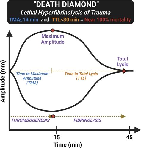 Serial “death diamond” TEGs are a bedside indicator of futil... : Journal of Trauma and Acute ...