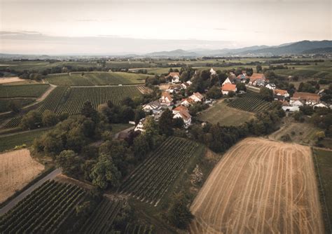 10 best wine tours & tastings in Baden 2022 | Winetourism.com