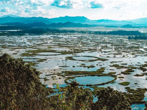 Keibul Lamjao National Park Manipur - How To Visit The World’s Only Floating National Park ...