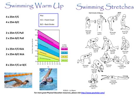 Swimming Warm Ups and Training Sets [PE Scholar] by lizzymyers ...