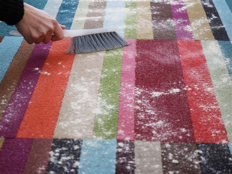 How to Make DIY Carpet Cleaner | DIY