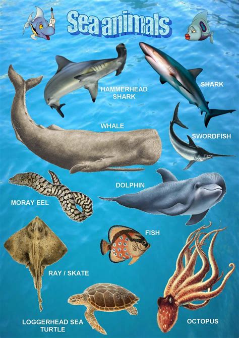 Sea animals, poster 1 | Sea animals, Animals, Animals poster