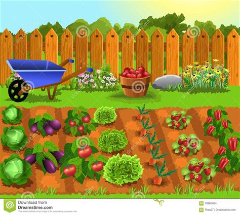 Vegetable Garden Drawing Images - decorooming.com