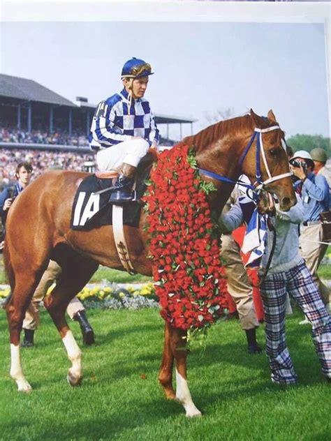 Best Race Horses of All Time – Railbird Corner