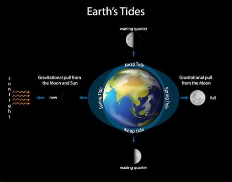 Earth Moon Sun Tides Diagram - The Earth Images Revimage.Org