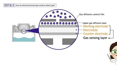 China Dialecto Mula electrochemical hydrogen sensor información Monica Temblar