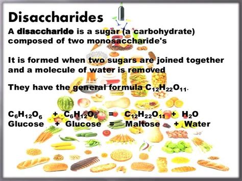 Disaccharides and Polysaccharides