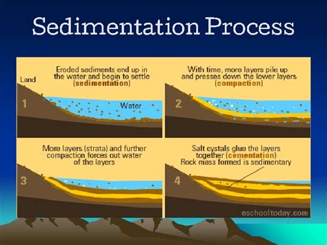 Igneous Sedimentary Metamorphic Rocks Sedimentarysandstone Igneous diorite Metamorphic