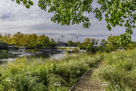 Albany Park Chicago Single Family Homes Side Street - ChiStockImages.com