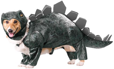 Déguisement dinosaure pour chien - Accessoires et gadgets pour animaux - Mr. Etrange