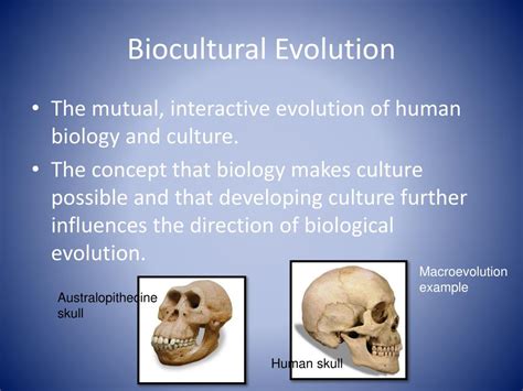 PPT - Physical Anthropology Anthropology 1 PowerPoint Presentation, free download - ID:7020175