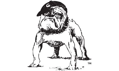 Why Is Georgia Called The Bulldogs