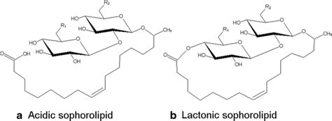 Structure of the acidic (a) and lactonic (b) sophorolipids. These... | Download Scientific Diagram