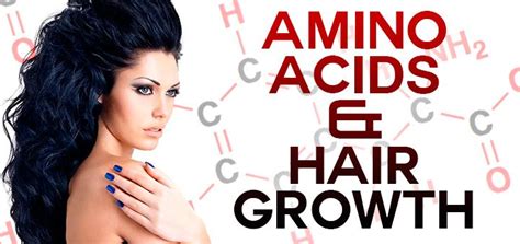 Scientists have discovered that there is a strong link between amino acids and hair growth ...