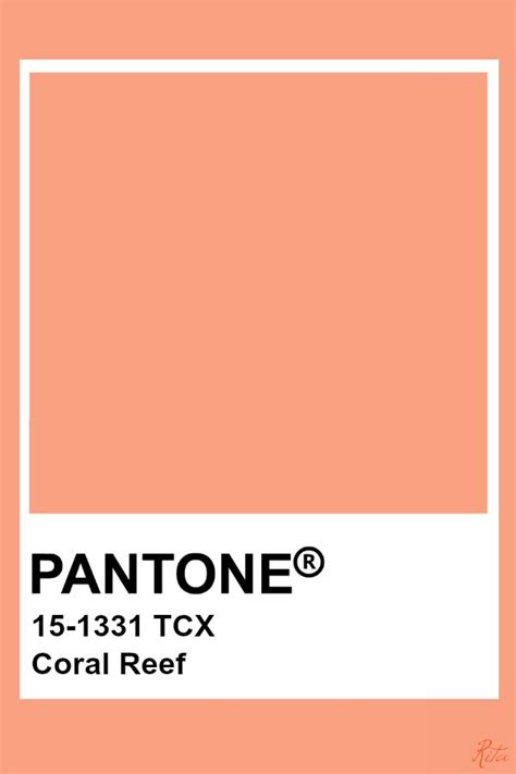 Unique Order Pantone Swatches Pms 117